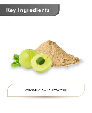 Just Jaivik Organic Amla Powder 100gm - Hair Growth & Immunity - Health N Wellness Shop
