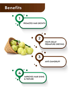 H&C Natural Amla Tablets 350mg 60 Count - Immunity & Hair Growth Support - Health N Wellness Shop