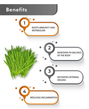 Just Jaivik Organic Barley Grass Tablets ā Natural Superfood for Immunity, Detox, and Energy - Health N Wellness Shop