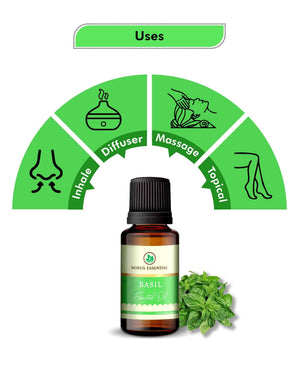 Korus Essential Basil Oil - 15ml - Health N Wellness Shop