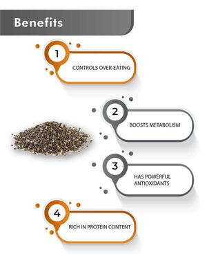 Just Jaivik Organic Chia Seeds - 100gm - Health N Wellness Shop