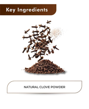 H&C Natural Clove Powder 100gm - Ayurvedic Spice for Oral Health & Wellness - Health N Wellness Shop