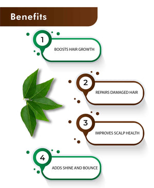 H&C Natural Curry Leaves Powder 100gm - Hair Growth & Wellness - Health N Wellness Shop
