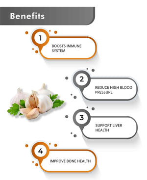 Just Jaivik Organic Garlic Powder 100g - Heart Health & Immunity - Health N Wellness Shop