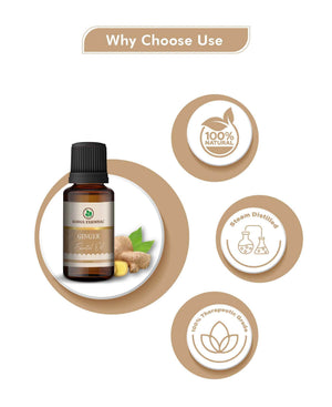 Korus Essential Ginger Oil - 15ml - Health N Wellness Shop