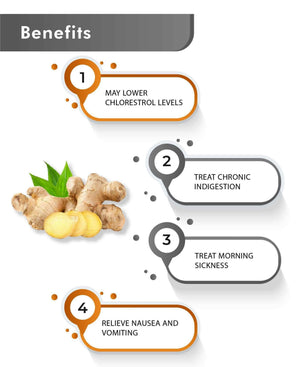 Just Jaivik Organic Ginger Powder 100g - Digestive & Immunity Support - Health N Wellness Shop