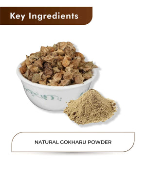 H&C Natural Gokshura Powder 100gm - Stamina & Vitality Booster - Health N Wellness Shop
