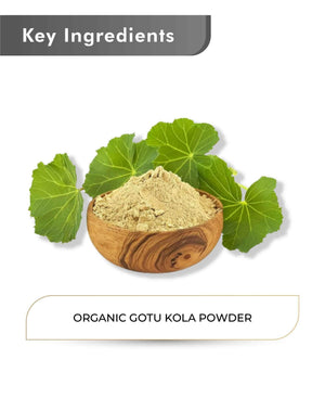 Just Jaivik Organic Gotu Kola Powder 100gm - Brain Health - Health N Wellness Shop