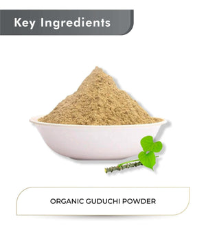 Just Jaivik Organic Guduchi Powder 100gm - Immunity & Detox - Health N Wellness Shop