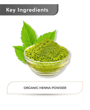 Just Jaivik Organic Henna Powder 100gm - Natural Hair Color - Health N Wellness Shop