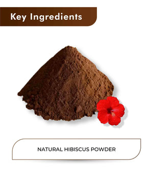 H&C Natural Hibiscus Powder 100gm - Hair & Skin - Health N Wellness Shop