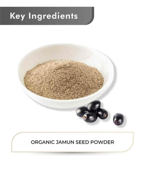 Just Jaivik Organic Jambul Seed Powder 100gm - Blood Sugar Support - Health N Wellness Shop