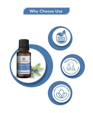 Korus Essential Juniper Berry Oil - 15ml - Health N Wellness Shop