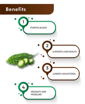 H&C Natural Karela Powder 100gm - Blood Sugar Balance & Metabolic Support - Health N Wellness Shop