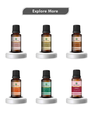 Korus Black Pepper Essential Oil – Pure Therapeutic Grade Oil for Muscle Relief, Digestion & Aromatherapy - Health N Wellness Shop