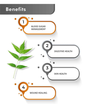 Just Jaivik Organic Neem Tablets ā Natural Ayurvedic Detox & Skin Care Supplement - Health N Wellness Shop