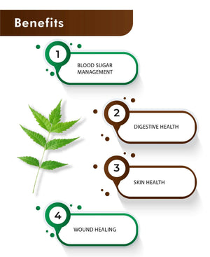 H&C Natural Neem Powder 100gm - Antibacterial Skin & Hair Care - Health N Wellness Shop