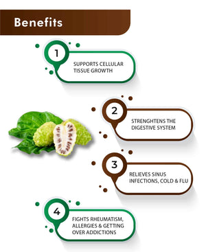 H&C Natural Noni Tablet 350mg - Immunity & Antioxidant Support - Health N Wellness Shop
