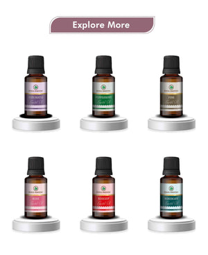 Korus Essential Oregano Oil – Pure, Potent & Natural Wellness Support - Health N Wellness Shop