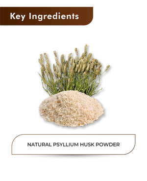 H&C Natural Psyllium Husk Powder 100gm - Digestive Health & Regularity - Health N Wellness Shop