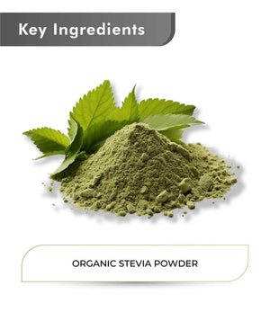 Just Jaivik Organic Stevia Powder 100gm - Zero Calorie Sweetener - Health N Wellness Shop