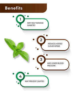 H&C Natural Stevia Powder 100gm - Sugar Substitute - Health N Wellness Shop