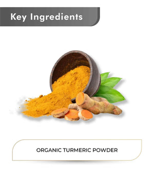 Just Jaivik Organic Turmeric Powder 100gm - High Curcumin - Health N Wellness Shop