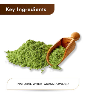H&C Natural Wheatgrass Powder 100gm - Detox & Vitality - Health N Wellness Shop