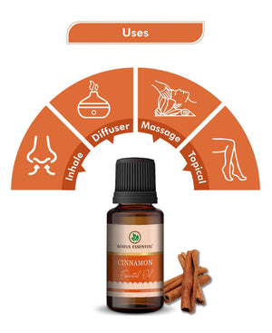 Korus Essential Cinnamon Oil – Therapeutic Grade Benefits, Uses & Pure Cinnamon Bark Oil - Health N Wellness Shop