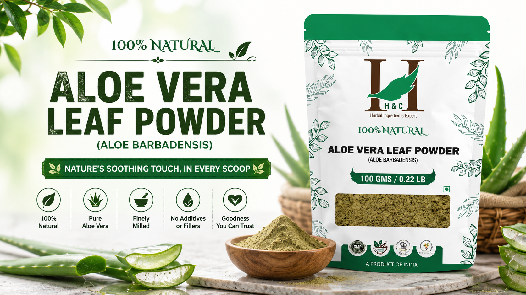 7 Powerful Reasons to Try Aloe Vera Powder
