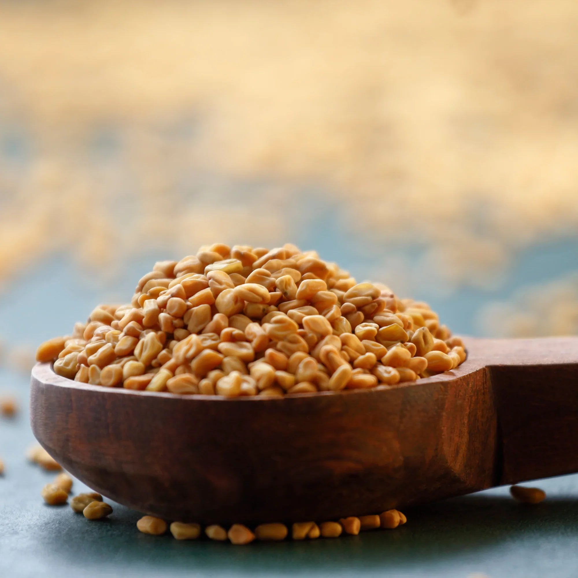 Fenugreek - Health N Wellness Shop