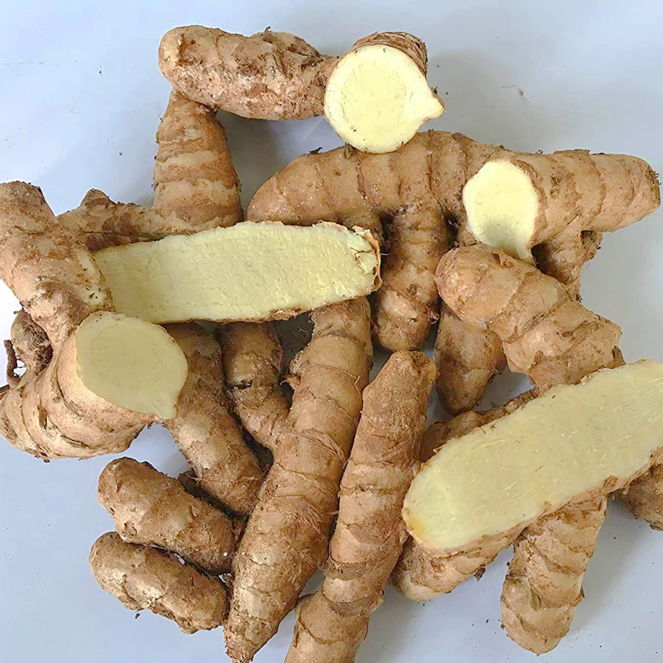 Wild Turmeric - Health N Wellness Shop
