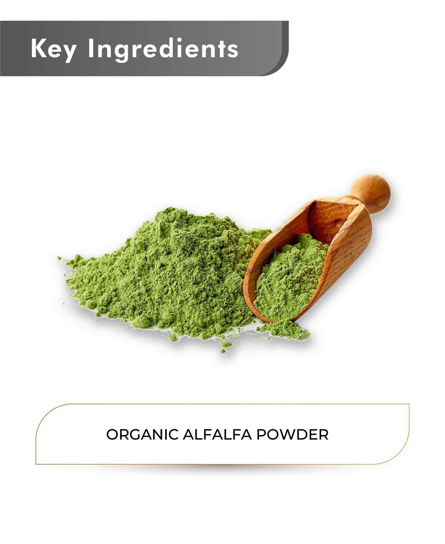 Just Jaivik Organic Alfalfa Powder 100gm - Immunity Boost - Health N Wellness Shop