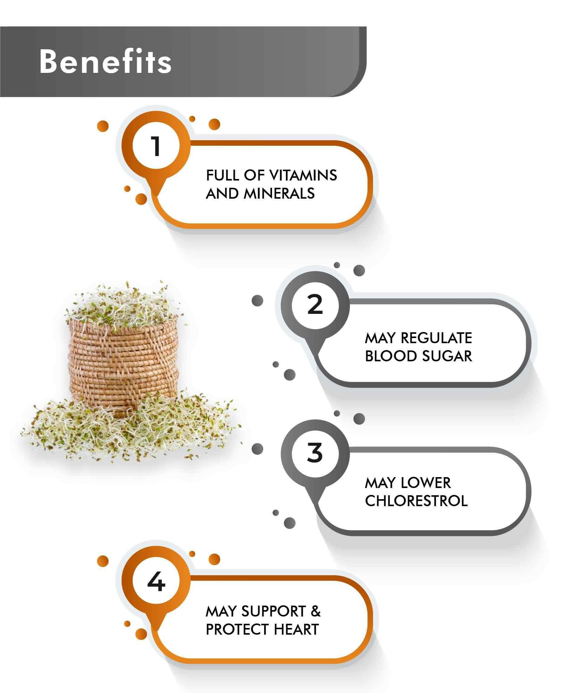 Just Jaivik Organic Alfalfa Powder 100gm - Immunity Boost - Health N Wellness Shop