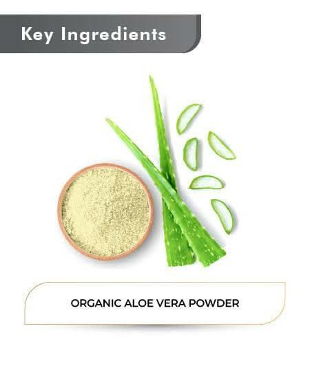 Just Jaivik Organic Aloe Vera Powder 100gm - Skin & Hair Care - Health N Wellness Shop