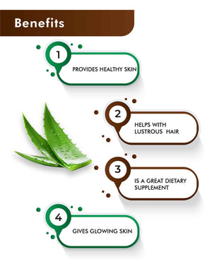 H&C Natural Aloe Vera Tablet 350mg - Digestive Health & Skin Wellness - Health N Wellness Shop