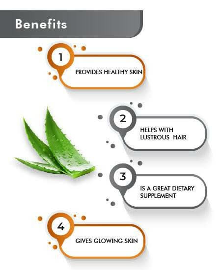 Just Jaivik Organic Aloe Vera Powder 100gm - Skin & Hair Care - Health N Wellness Shop
