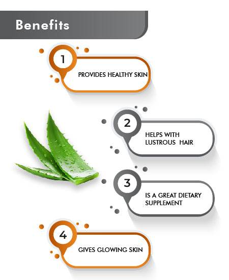 Just Jaivik Organic Aloe Vera Tablets – Natural Supplement for Skin, Digestion & Wellness - Health N Wellness Shop
