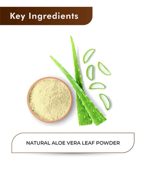 H&C Natural Aloe Vera Powder 100gm - Hydration & Glow - Health N Wellness Shop