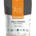 Just Jaivik Organic Amla Powder 100gm - Hair Growth & Immunity - Health N Wellness Shop