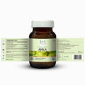 Just Jaivik Organic Amla Tablets – Natural Vitamin C Rich Immunity & Digestion Booster - Health N Wellness Shop