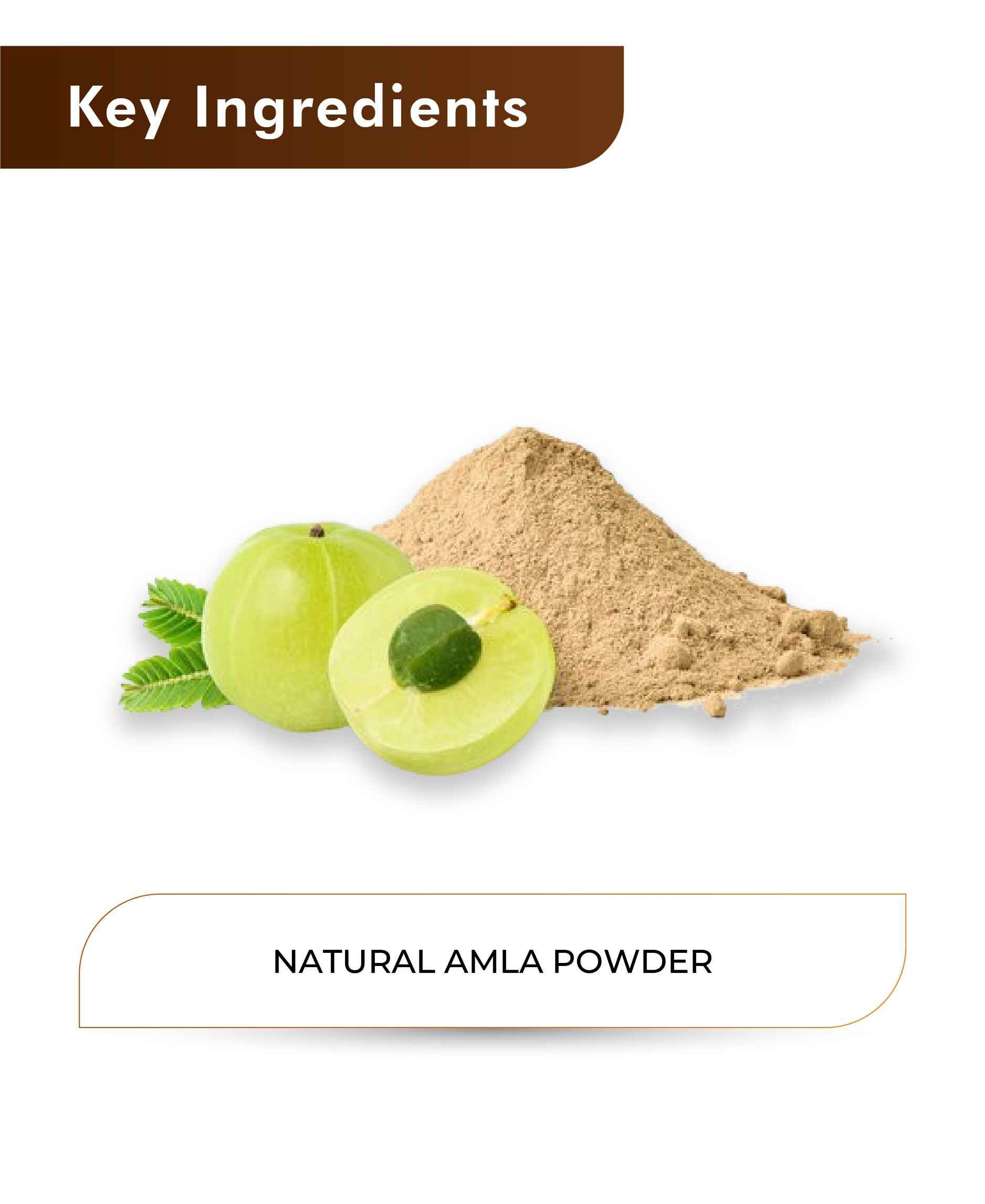 H&C Natural Amla Powder 100gm - Hair Growth & Immunity Booster - Health N Wellness Shop