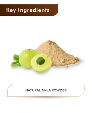 H&C Natural Amla Powder 100gm - Hair Growth & Immunity Booster - Health N Wellness Shop