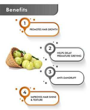 Just Jaivik Organic Amla Tablets – Natural Vitamin C Rich Immunity & Digestion Booster - Health N Wellness Shop