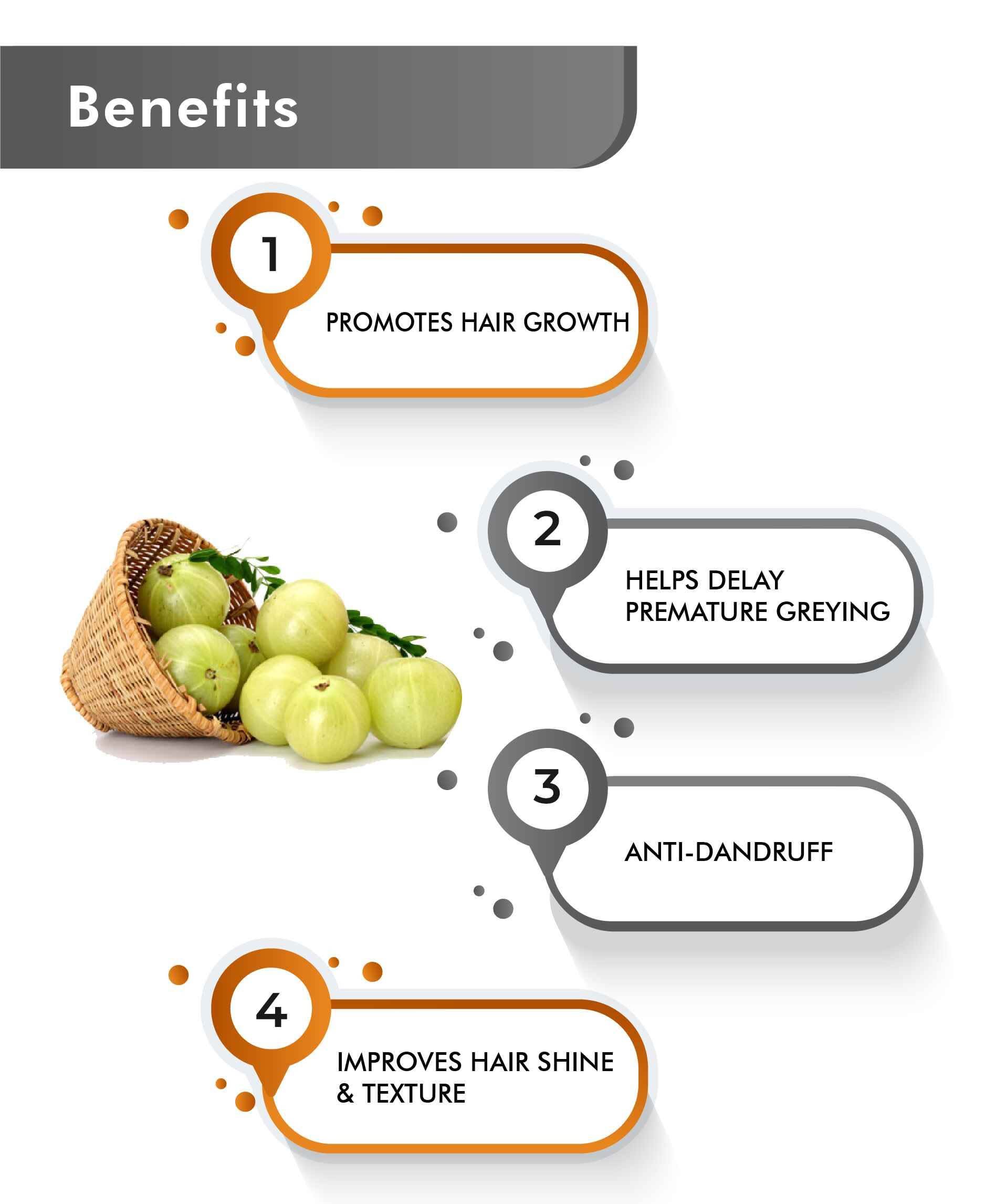 Just Jaivik Organic Amla Caplets – Natural Vitamin C Supplement for Immunity, Skin & Hair Health - Health N Wellness Shop