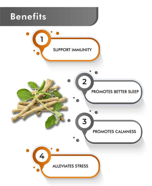 Just Jaivik Organic Ashwagandha Caplets for Stress Relief, Immunity & Wellness - Health N Wellness Shop