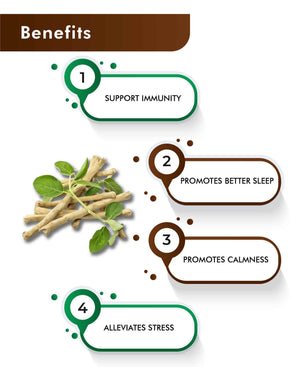 H&C Natural Ashwagandha Powder 100gm - Adaptogenic Stress Support - Health N Wellness Shop