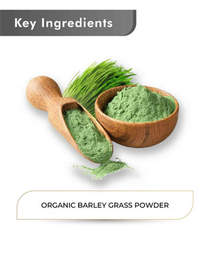 Just Jaivik Organic Barley Grass Powder 100g - Immunity & Detox - Health N Wellness Shop