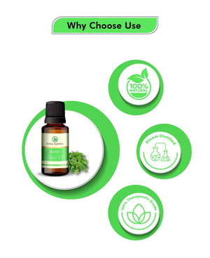 Korus Essential Basil Oil - 15ml - Health N Wellness Shop