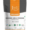 Just Jaivik Organic Bhoomi Amla Powder 100gm - Liver & Skin Health - Health N Wellness Shop